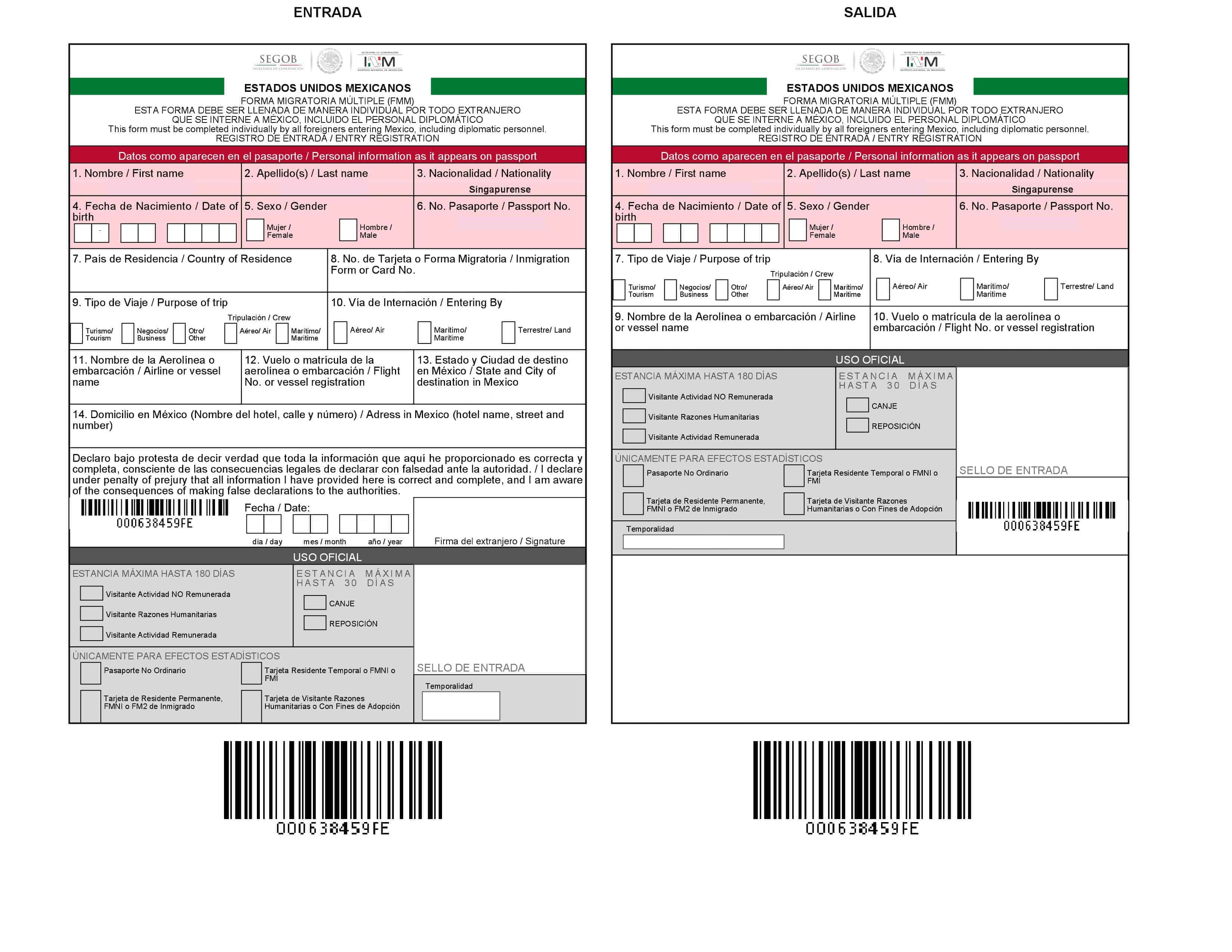 emigrantes-en-m-xico-formato-fmm-turista-online-v-a-terrestre-y-v-a